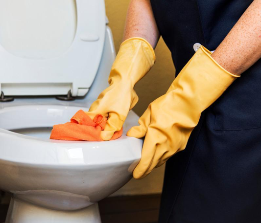 staff scrubbing the toilet sit